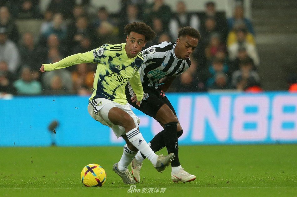 的技战术 的技战术